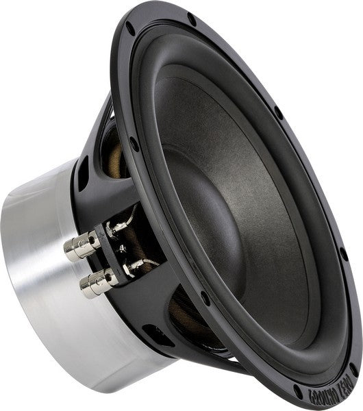 Ground Zero GZPW Reference 250 10-tums SQ-subwoofer