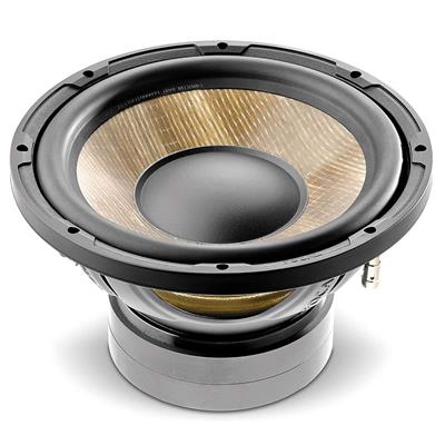 10" FlaxEvo Subwoofer 300W RMS